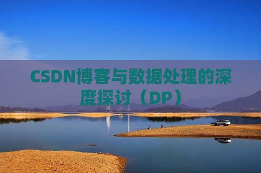 CSDN博客与数据处理的深度探讨（DP）